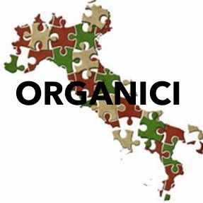 Dotazioni organiche del personale docente con contratto a tempo indeterminato degli istituti e scuole di istruzione secondaria di secondo grado della provincia di Caserta per l’a.s. 2018/19